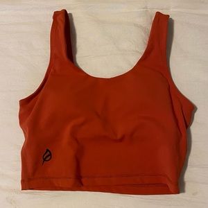 Ptula Faith crop bra